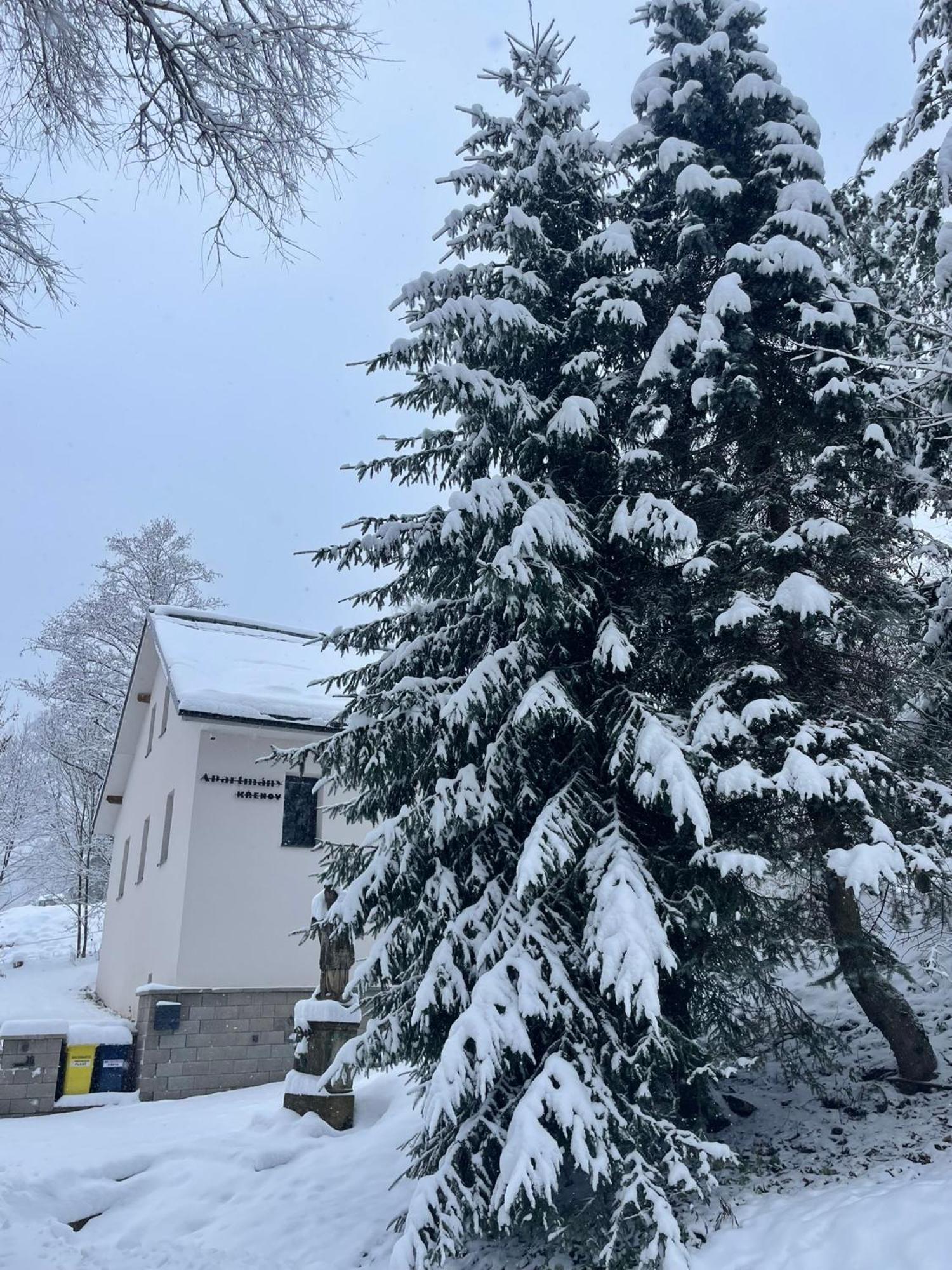 Apartmany Krenov Bernartice  Bagian luar foto
